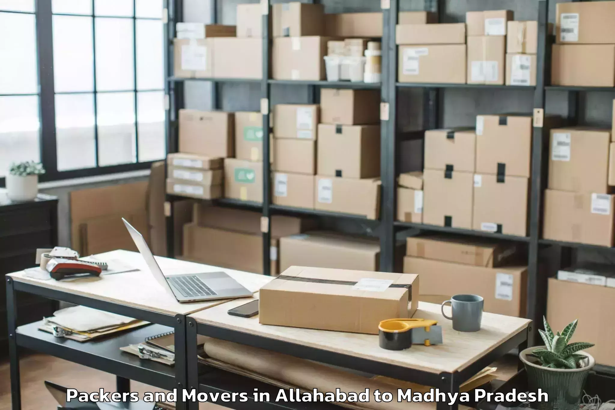 Affordable Allahabad to Nepanagar Packers And Movers